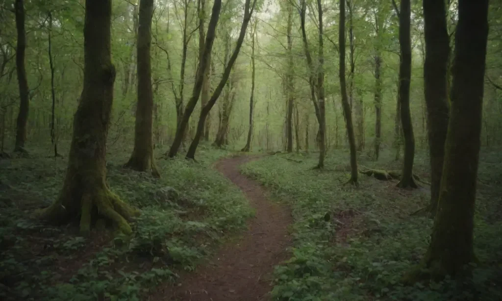 A person following a winding path through a lush forest 9bd0 De la duda a la confianza: un camino personal hacia el crecimiento